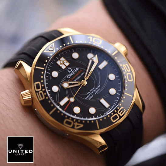 Omega Seamaster Professıonal Black Dial Gold Case Inspired on the wrist