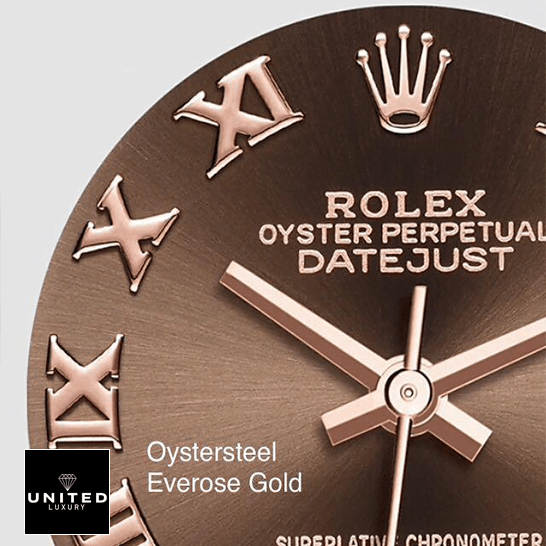Rolex Datejust Chocolate Roman Dial Inspired white background